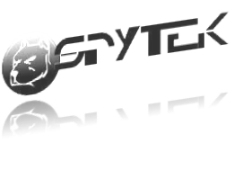 Spytek Italy srl